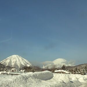 Meet your Posher, Lynn